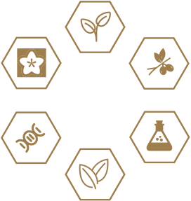 bevictor伟德官网-韦德官方网站